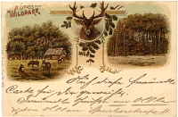Wildpark Langenberg  1900