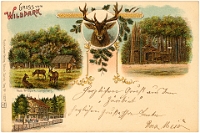 Wildpark Langenberg  1905