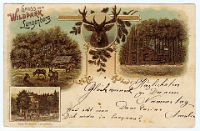 Wildpark Langenberg  1899