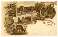 Wildpark Langenberg  1899
