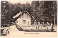 Wildpark Langenberg  1906