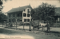 Wildpark Langenberg  1910