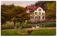 Wildpark Langenberg  1919