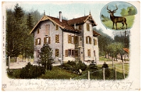 Wildpark Langenberg  1901