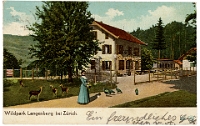 Wildpark Langenberg  1905