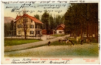 Wildpark Langenberg  1906