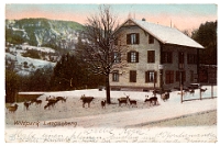 Wildpark Langenberg  1902