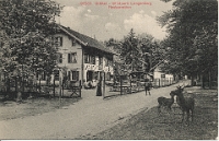 Wildpark Langenberg  1911