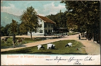 Wildpark Langenberg  1903