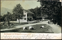 Wildpark Langenberg  1900