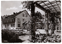 Wildpark Langenberg  1956