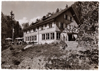 Wildpark Langenberg  1956