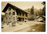Wildpark Langenberg  1930