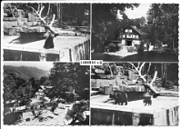 Wildpark Langenberg  1960