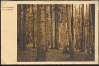 Wildpark Langenberg  1910