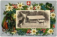 Wildpark Langenberg  1915