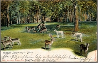Wildpark Langenberg  1903