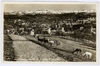 Wildpark Langenberg  1943