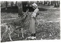 Wildpark Langenberg  1942