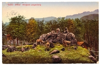 Wildpark Langenberg  1914