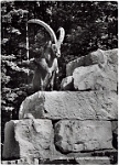 Wildpark Langenberg  1964