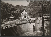 Wildpark Langenberg  1960