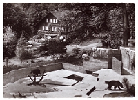 Wildpark Langenberg  1960