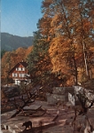 Wildpark Langenberg  1962