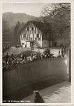 Wildpark Langenberg  1950
