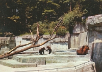 Wildpark Langenberg  1950