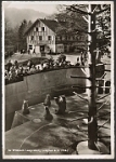 Wildpark Langenberg  1949