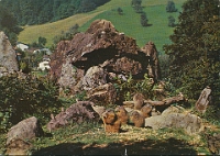 Wildpark Langenberg  1960