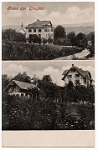 Wolfgraben  1909