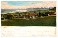 Rest. Hirschen  1905