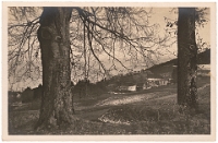 Rest. Hirschen  1920