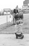 1981  Blick-Fotograf Candid Lang, Adliswil mit seiner Pentax an der Arbeit. : Fotograf Candid Lang, Adliswil mit seiner Pentax an der Arbeit.