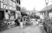 1982  Alte Dorfstrasse /  Fest auf der Strasse (von Anwohnern organisiert)