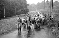 1987  Viehschau im Hinteralbis Habeggers mit Vieh von der Kniebreche kommend