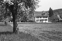 Juni  4.5.1982 / Auf der Fuhr, heute Taubblindenheim „Tanne“