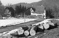 Februar  20.1.1999 / Kniebreche; Blick von Süden