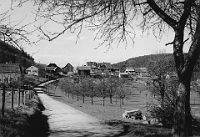 März  ca. 1950 / Ruetibolstrasse