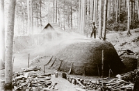 Um 1890  Kohlenmeiler im Sihlwald  Der letzte Kohlenmeiler im Streuboden.