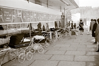 19.2.1969 Im Grund  Vor der neu eröffneten Migros : Winter im TierparkÜbersicht vom Orellihaus gegen das Oberrängg, Bienenhaus Stalder am Birkensteig, Kinderwagenausstellung, bei der neuen Migros