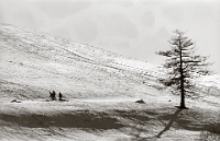 28.12.1990  Albis im Schnee