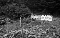 Schule Langnau 1982  Klassenlager 6. Kl. Obertschappina GR : Klassenlager 6. Kl. Obertschappina GR