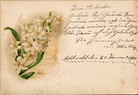 Poesiealbum 1899-1913  von Anna Urner, Langnau 21.1.1900, Helene Huber-Hediger