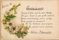 Poesiealbum 1899-1913  von Anna Urner, Langnau 3.1.1905, Hélène Débonnaire
