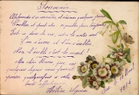 Poesiealbum 1899-1913  von Anna Urner, Langnau 10.4.1905, Hélène Segesser