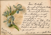 Poesiealbum 1899-1913  von Anna Urner, Langnau 24.1.1902, Witwe Anna Gubler-Heider