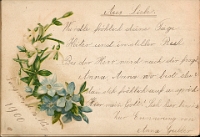 Poesiealbum 1899-1913  von Anna Urner, Langnau 14.3.1900, Anna Gubler